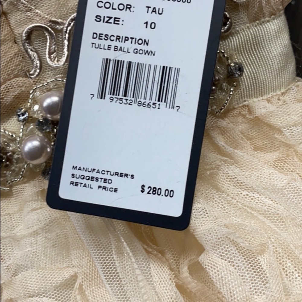 Adrianna Papell strapless rosette ball Gown - Picture 12 of 16